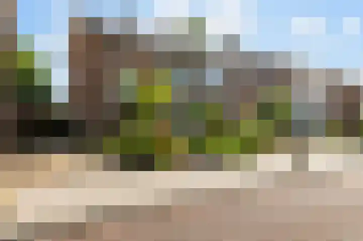 Kievitstraat 56 Goor thumbnail 25