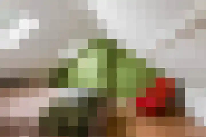 Kievitstraat 56 Goor thumbnail 27