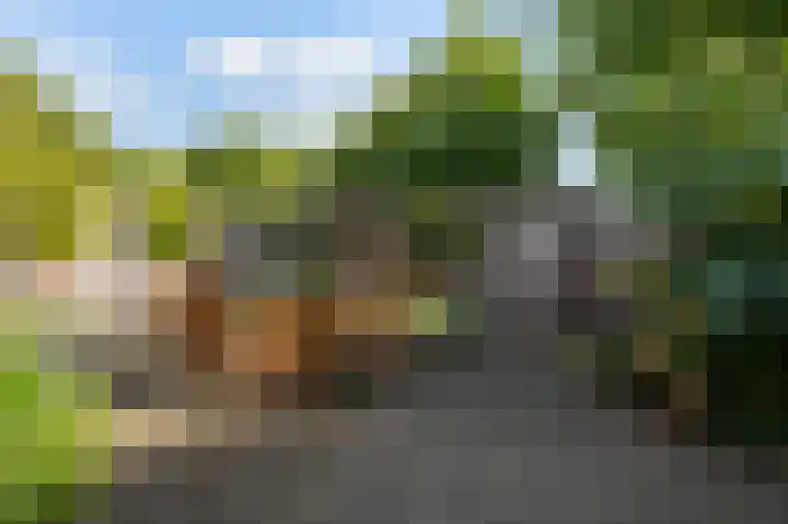 Kievitstraat 56 Goor thumbnail 4