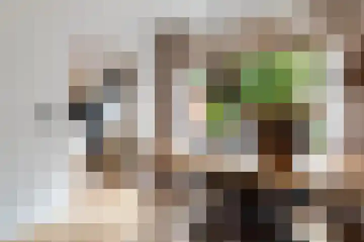 Kievitstraat 56 Goor thumbnail 8