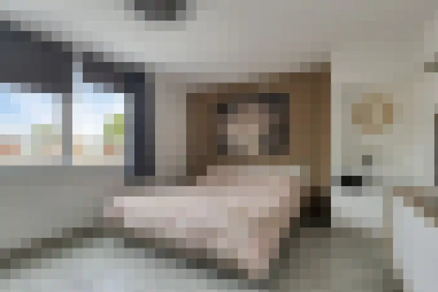 Kievitstraat 56 Horst thumbnail 16