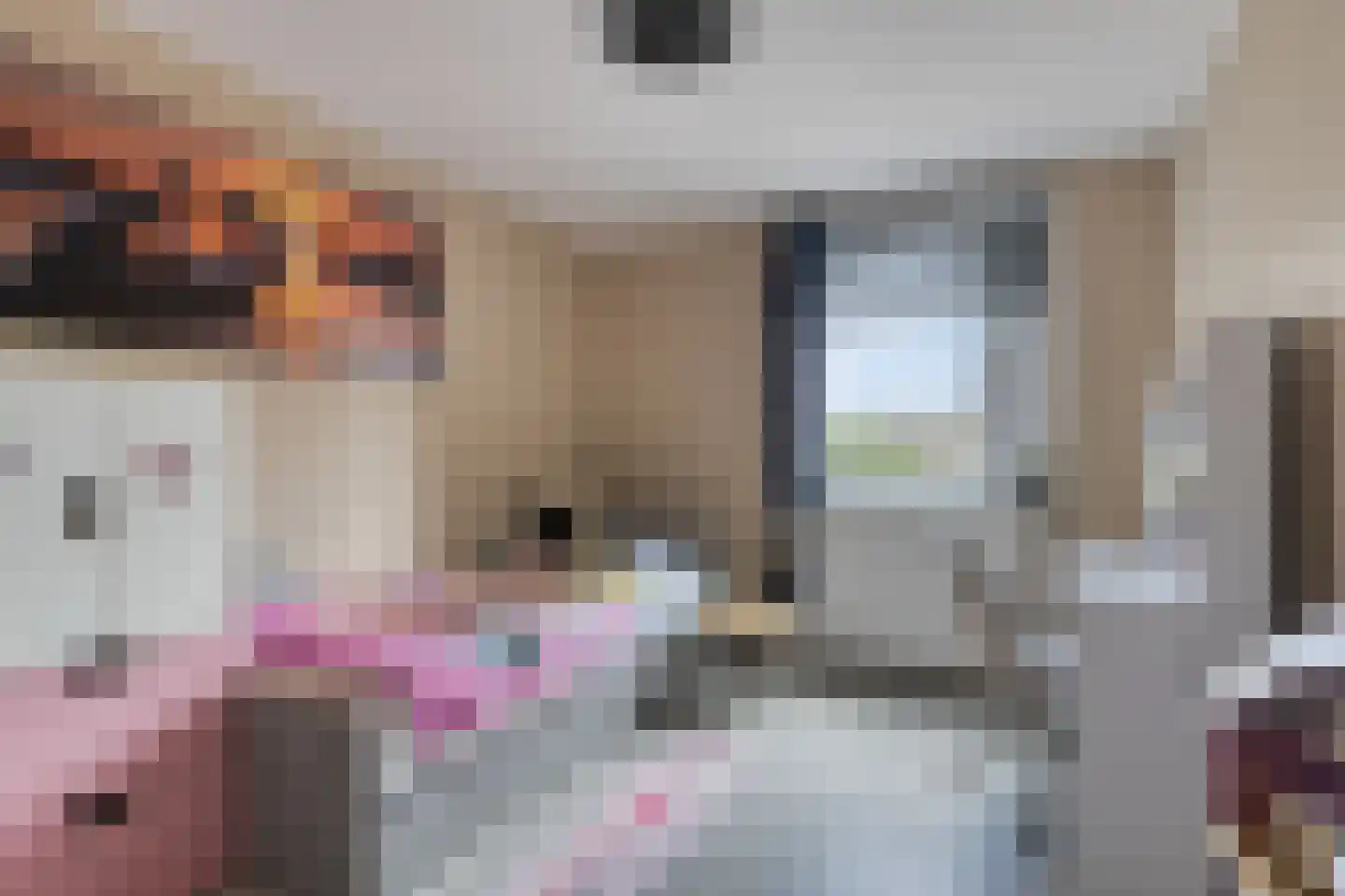 Kievitstraat 56 Horst thumbnail 18