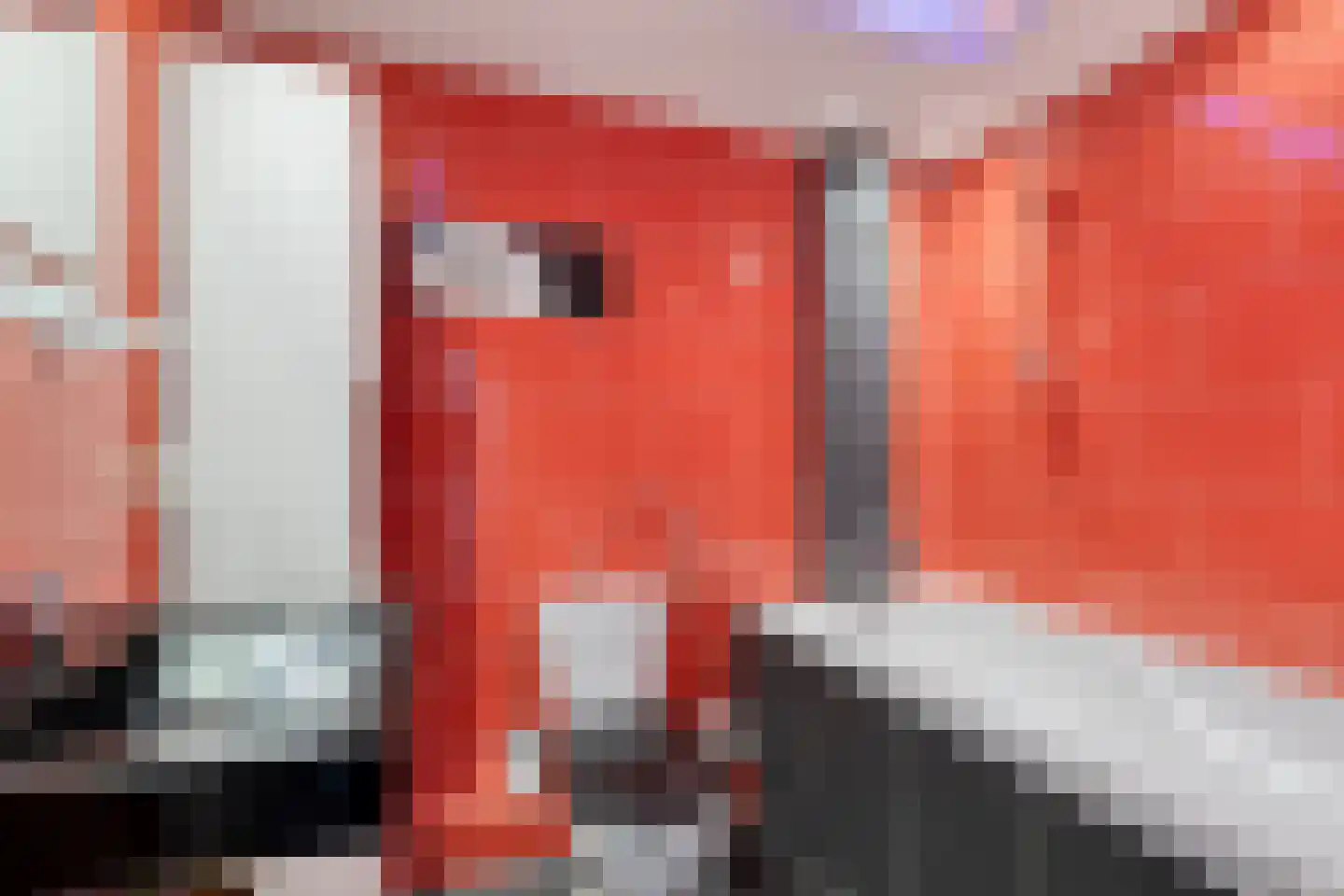 Kievitstraat 56 Horst thumbnail 22