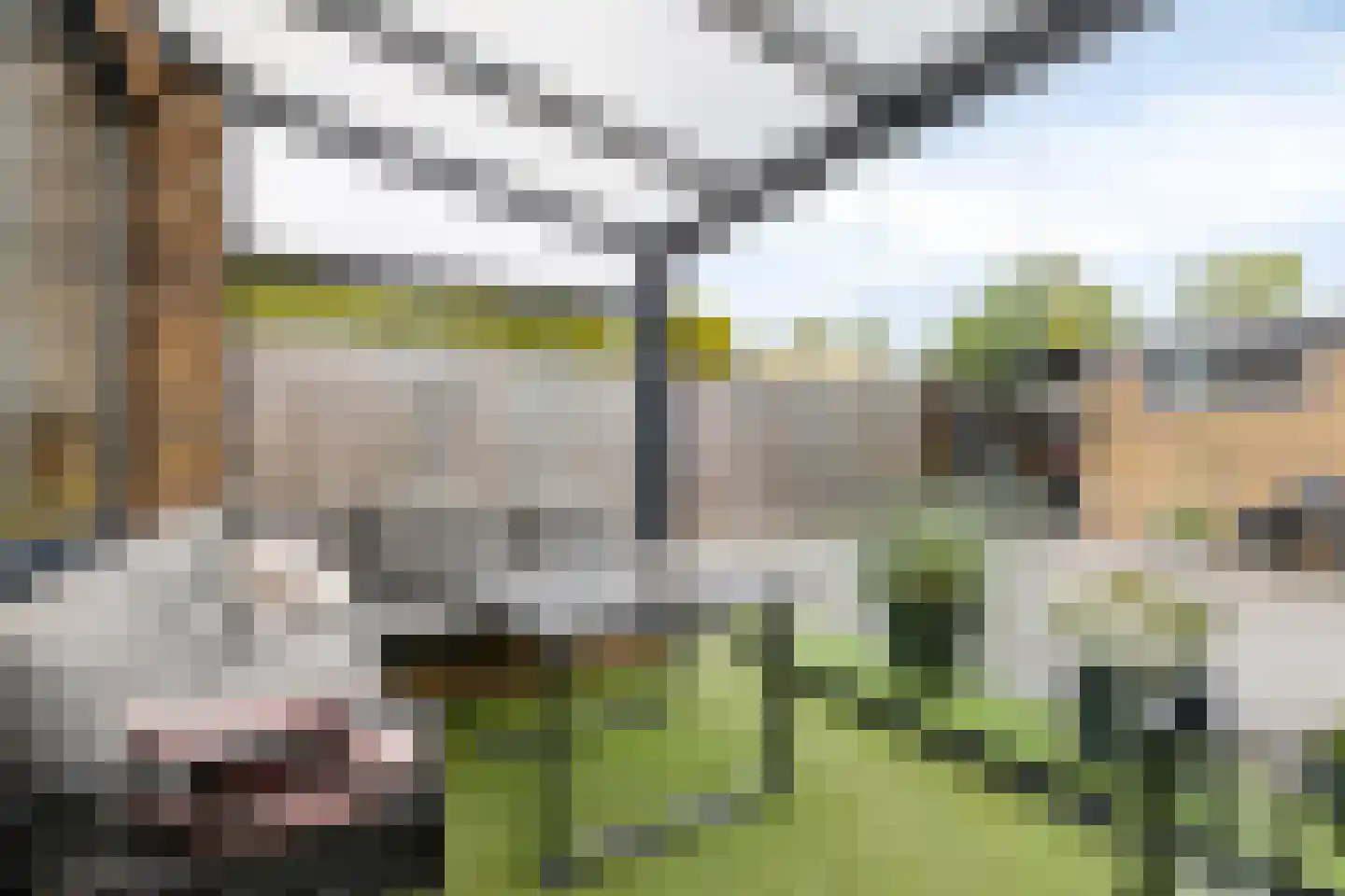 Kievitstraat 56 Horst thumbnail 24