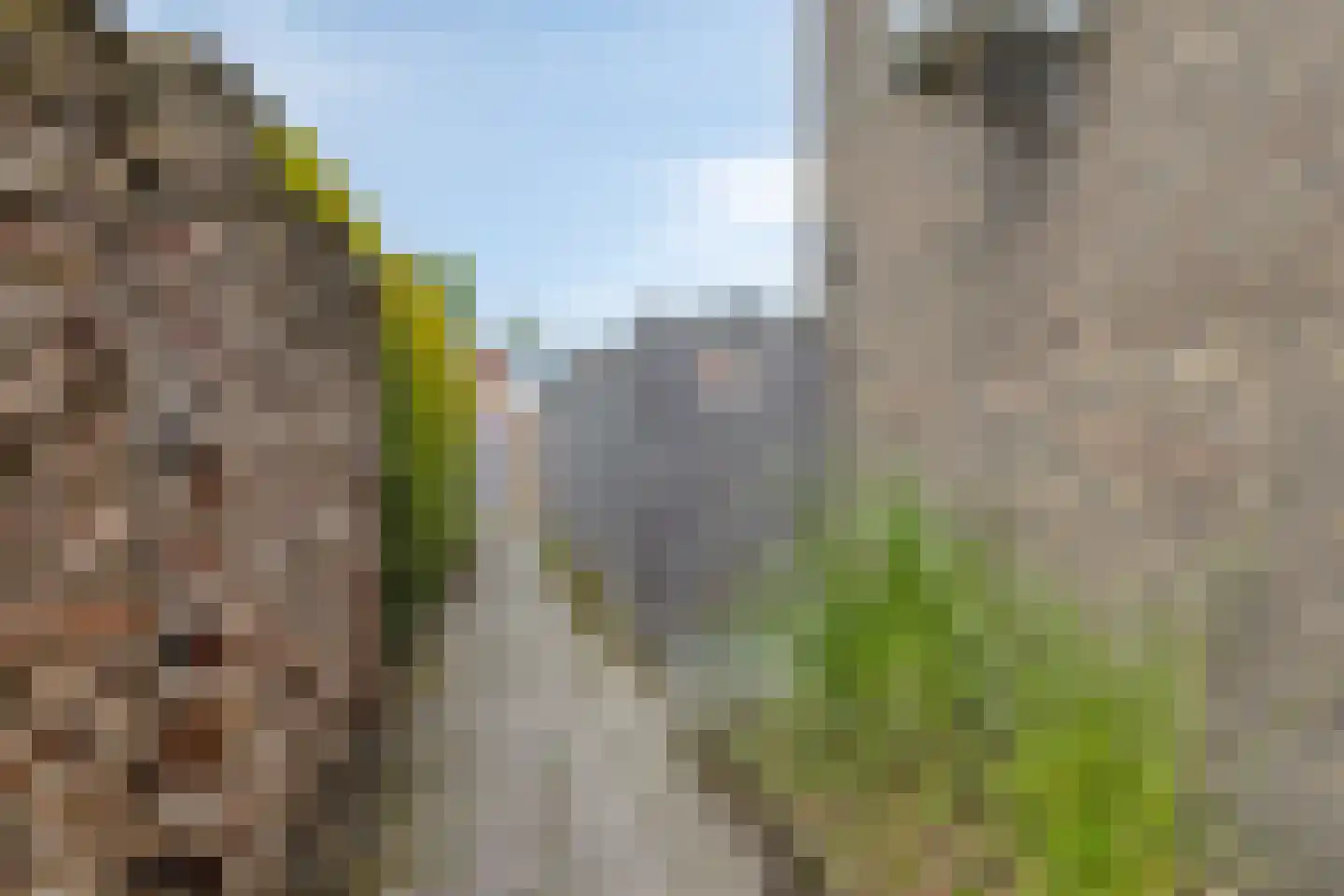 Kievitstraat 56 Horst thumbnail 30