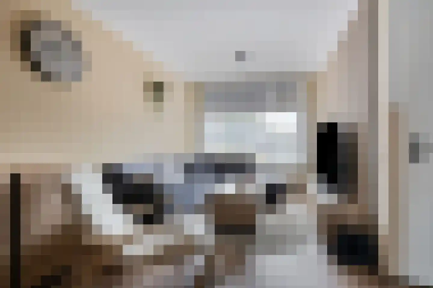 Kievitstraat 56 Horst thumbnail 5