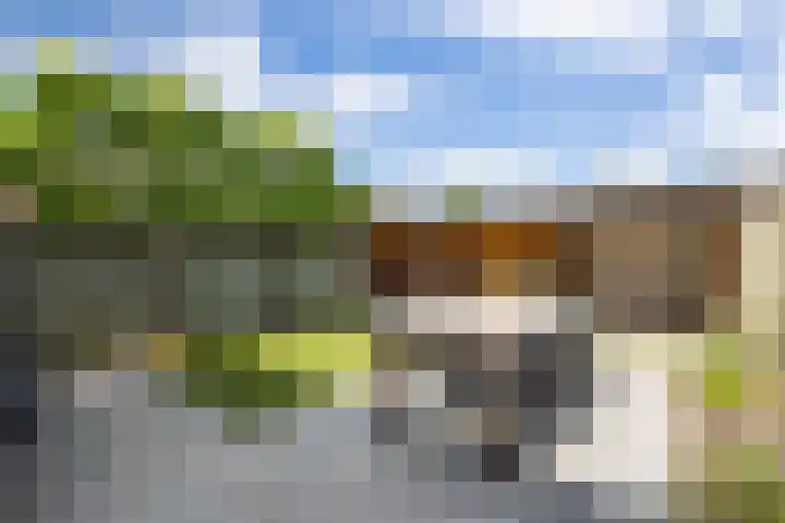 Kievitstraat 56 Vught thumbnail 12