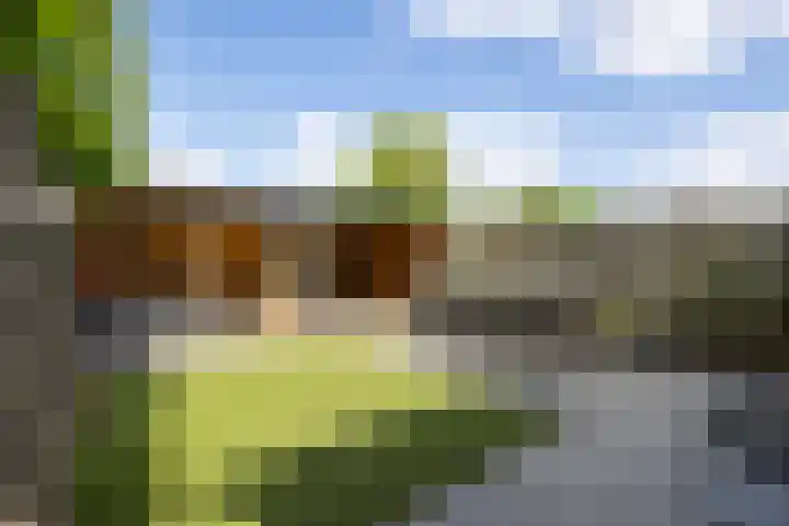 Kievitstraat 56 Vught thumbnail 14