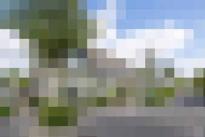 Kievitstraat 56 Vught thumbnail 15