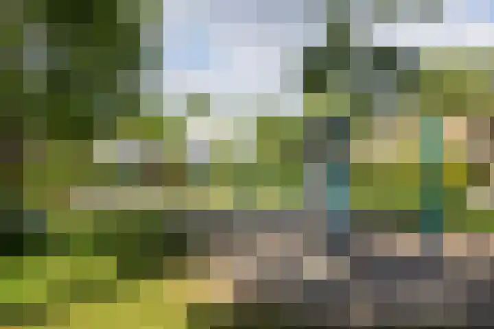 Kievitstraat 56 Vught thumbnail 38