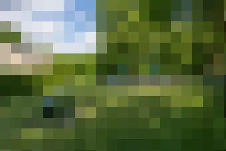 Kievitstraat 56 Vught thumbnail 39