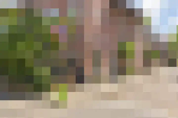 Kievitstraat 58 Breda thumbnail 41