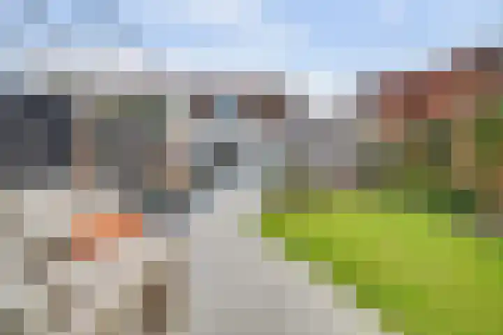 Kievitstraat 6 in Vught