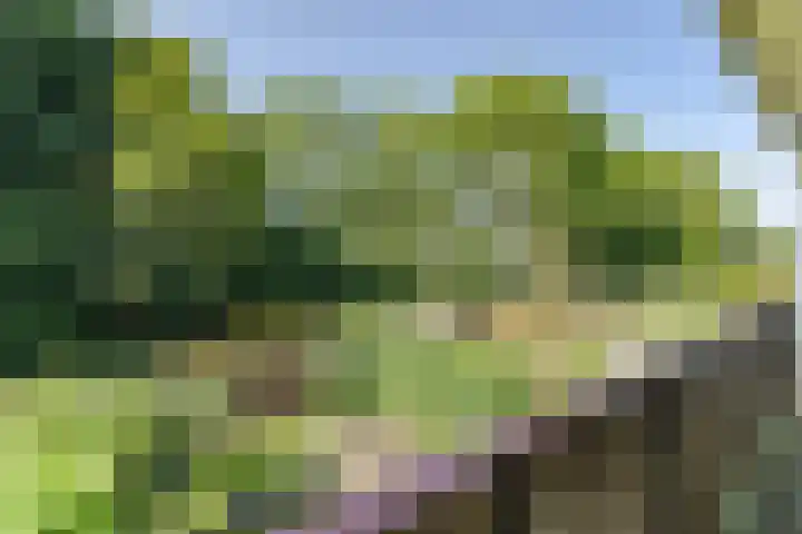 Kievitstraat 6 Boskoop thumbnail 8