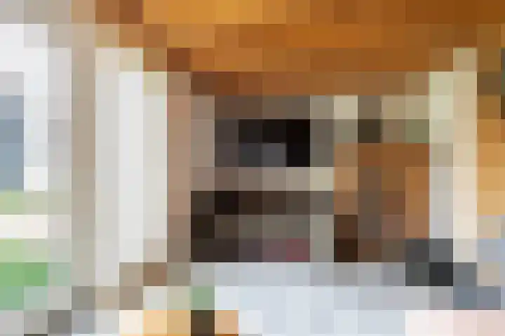 Kievitstraat 6 Eibergen thumbnail 39