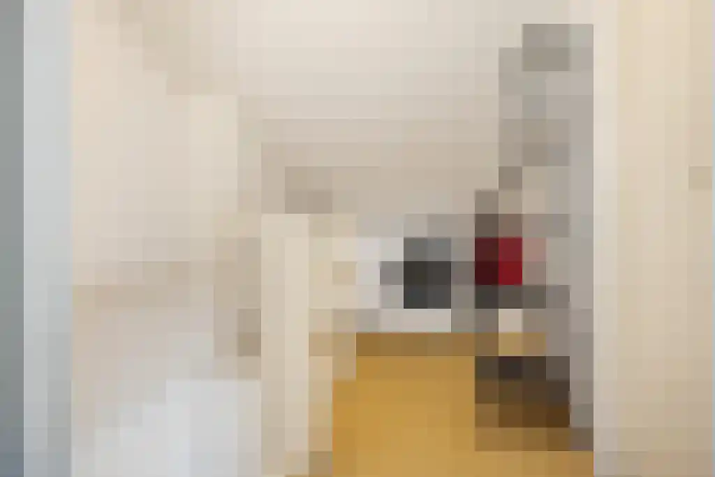 Kievitstraat 6 Hank thumbnail 22