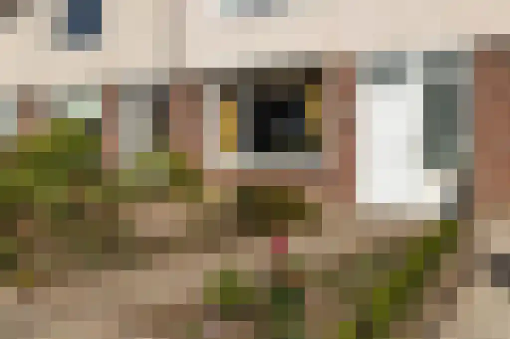 Kievitstraat 6 Hank thumbnail 27
