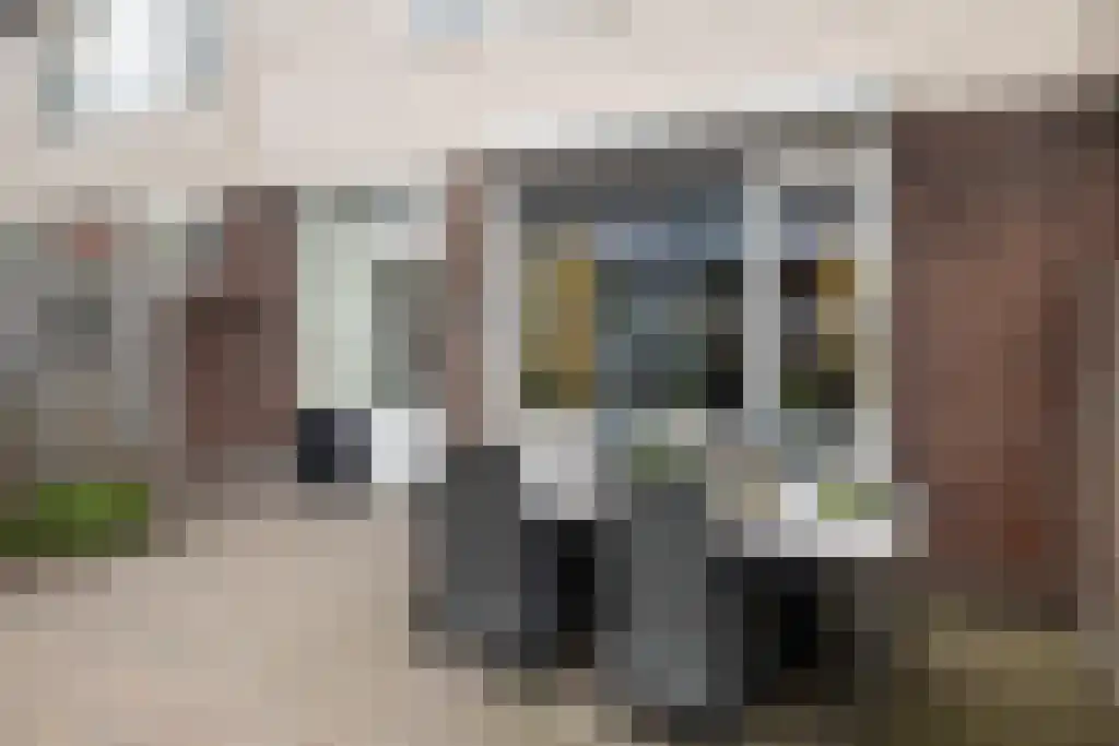 Kievitstraat 6 Hank thumbnail 5