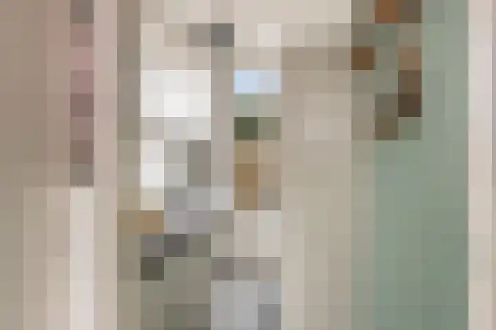 Kievitstraat 6 Krimpen aan den IJssel thumbnail 10