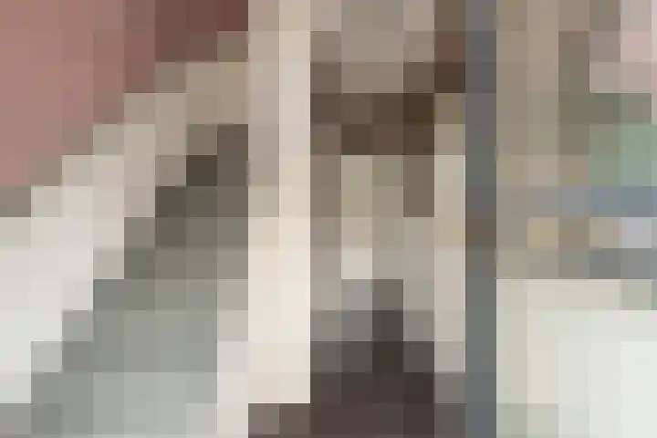 Kievitstraat 6 Krimpen aan den IJssel thumbnail 15