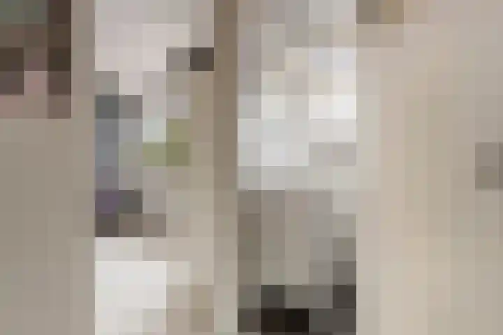 Kievitstraat 6 Krimpen aan den IJssel thumbnail 16