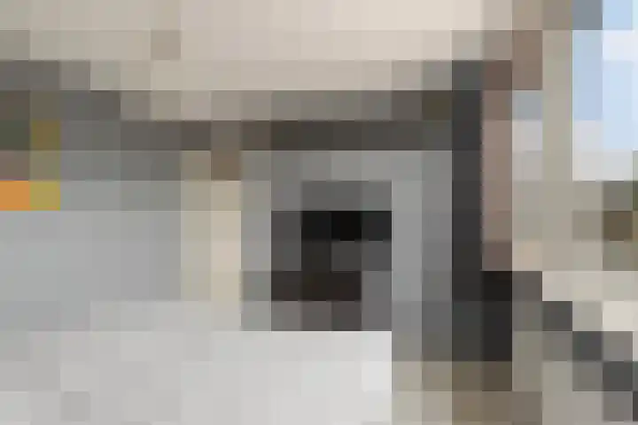Kievitstraat 6 Krimpen aan den IJssel thumbnail 21