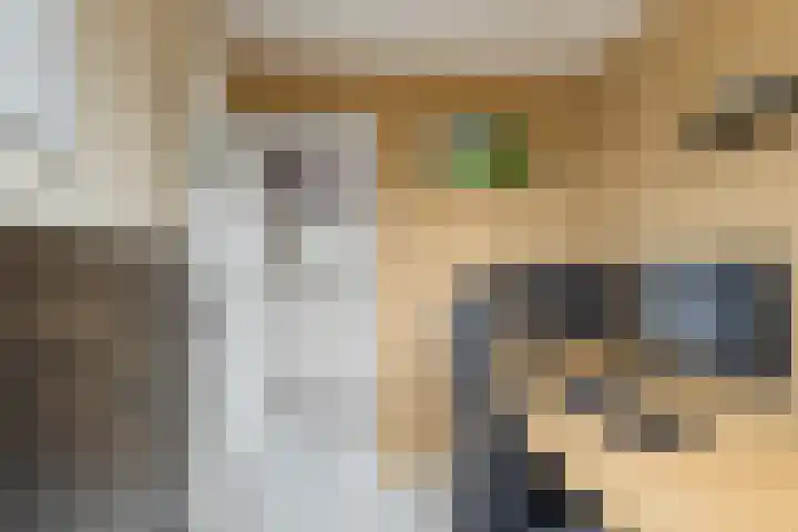 Kievitstraat 6 Krimpen aan den IJssel thumbnail 23