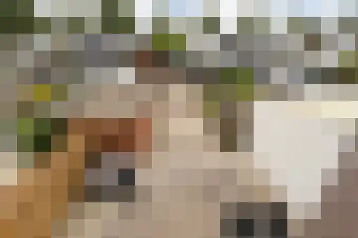 Kievitstraat 6 Krimpen aan den IJssel thumbnail 26
