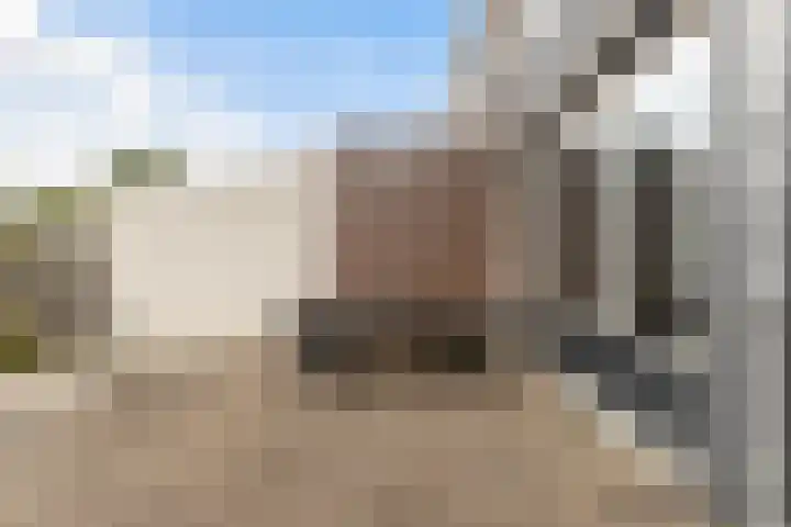 Kievitstraat 6 Krimpen aan den IJssel thumbnail 27