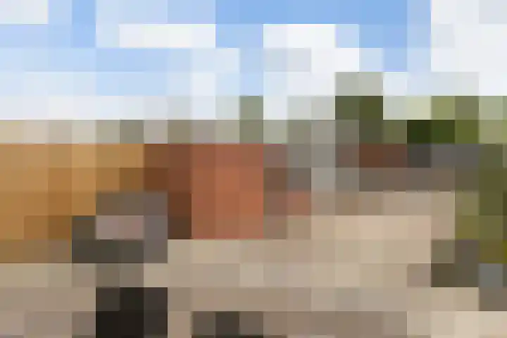 Kievitstraat 6 Krimpen aan den IJssel thumbnail 28