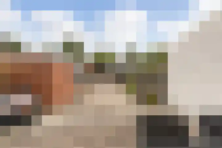 Kievitstraat 6 Krimpen aan den IJssel thumbnail 29