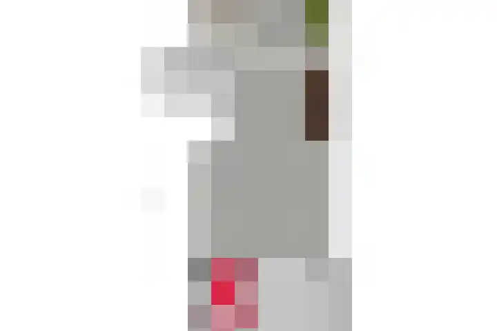 Kievitstraat 6 Krimpen aan den IJssel thumbnail 37