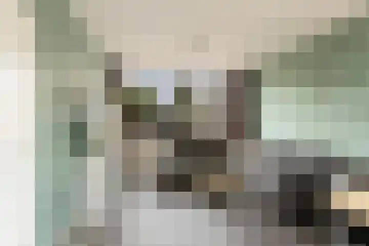 Kievitstraat 6 Krimpen aan den IJssel thumbnail 7