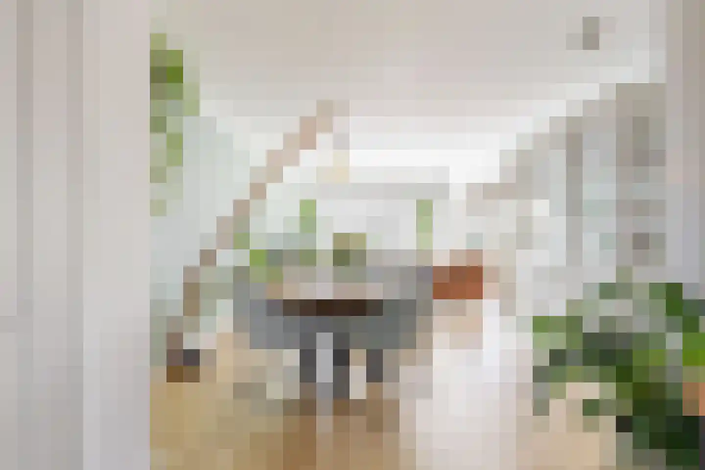 Kievitstraat 6 Leiderdorp thumbnail 11