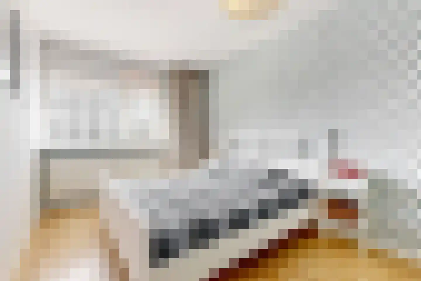Kievitstraat 6 Leiderdorp thumbnail 20