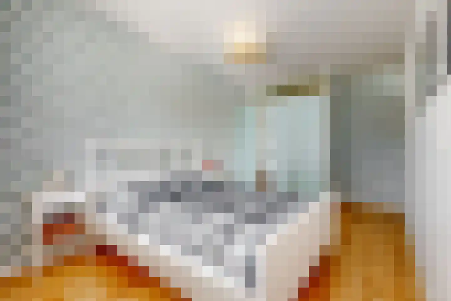 Kievitstraat 6 Leiderdorp thumbnail 21