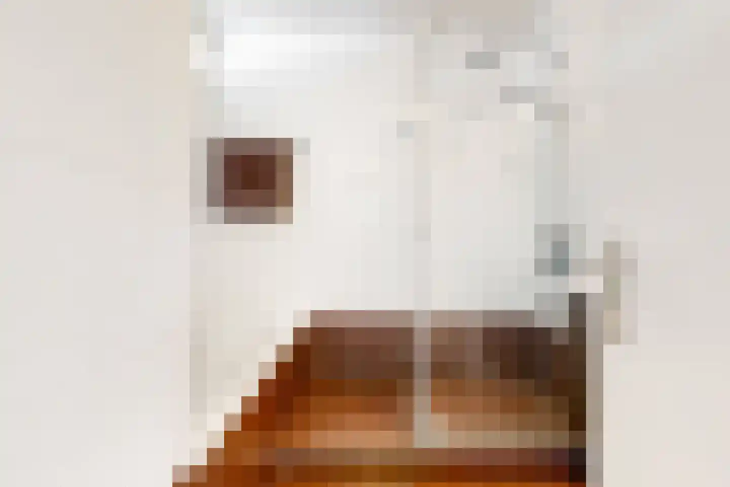Kievitstraat 6 Leiderdorp thumbnail 22