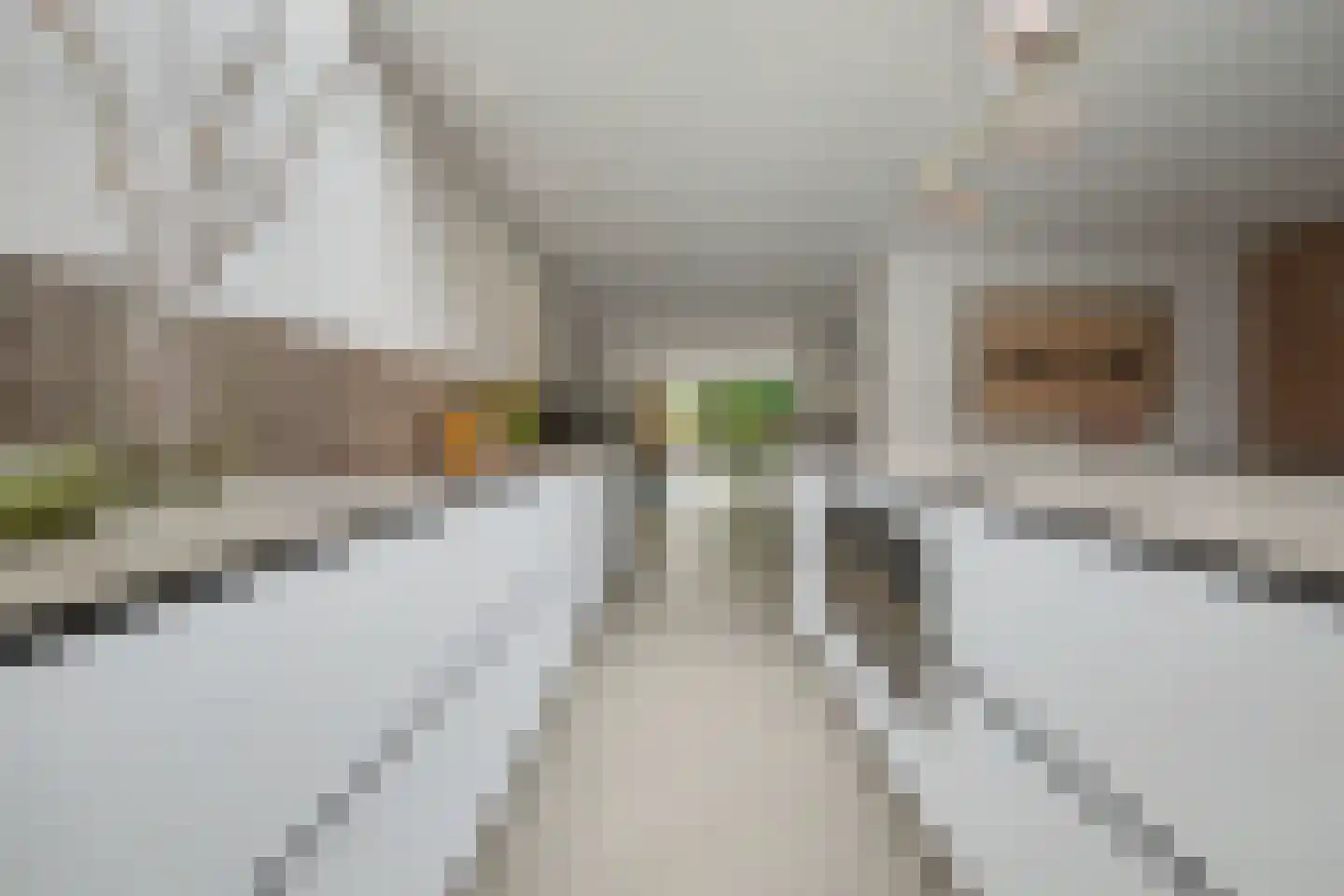 Kievitstraat 6 Vught thumbnail 16