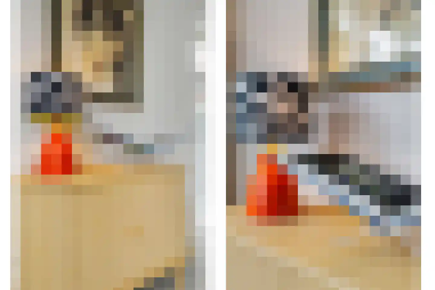 Kievitstraat 6 Vught thumbnail 22