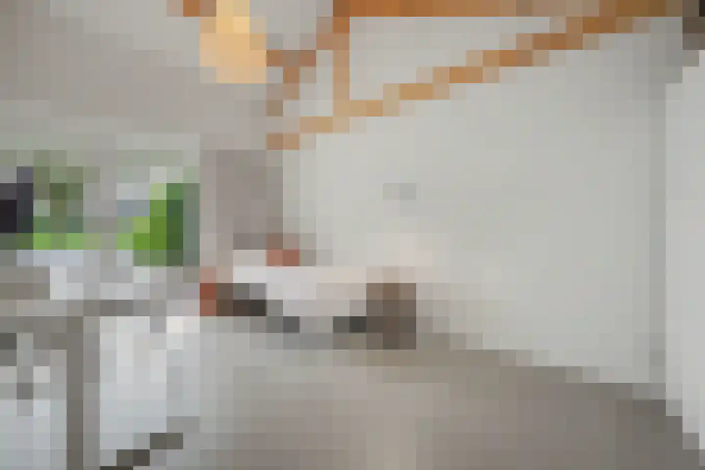 Kievitstraat 6 Vught thumbnail 24
