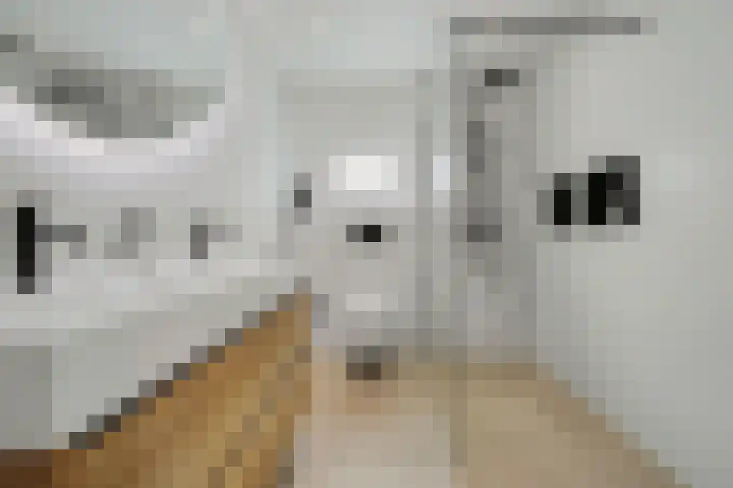 Kievitstraat 6 Vught thumbnail 36