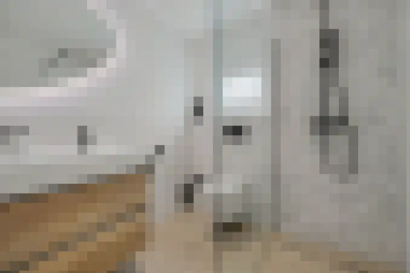 Kievitstraat 6 Vught thumbnail 37