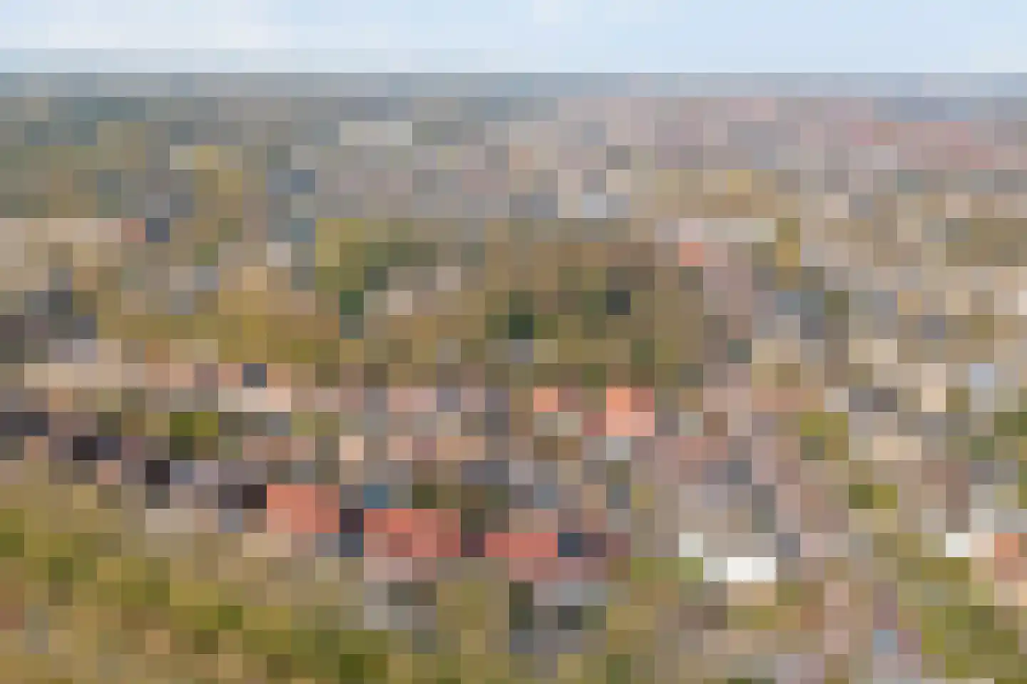 Kievitstraat 6 Vught thumbnail 65