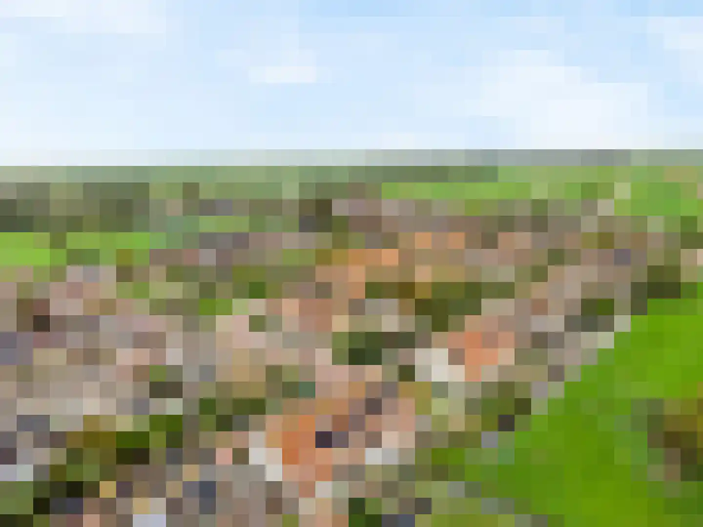 Kievitstraat 7 A Kamerik thumbnail 12