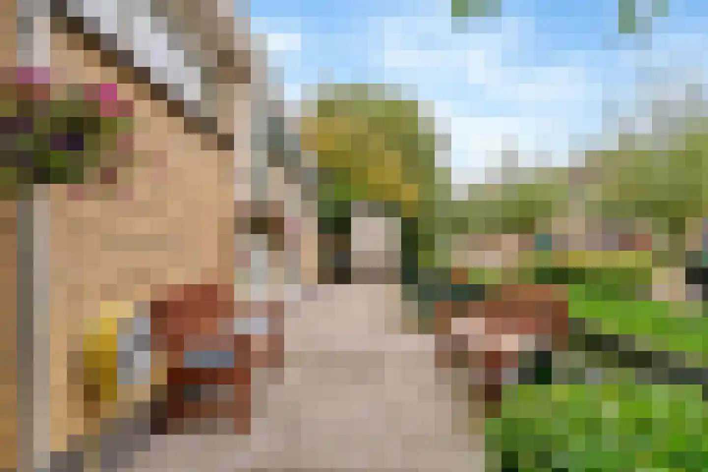Kievitstraat 7 A Kamerik thumbnail 4