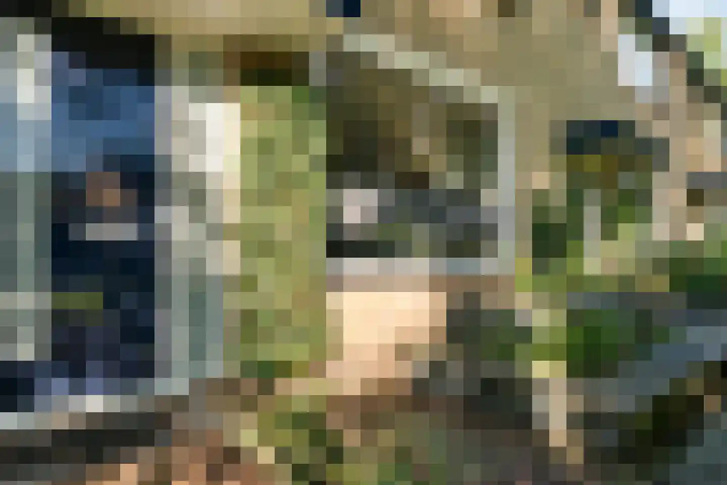 Kievitstraat 70 Ermelo thumbnail 5