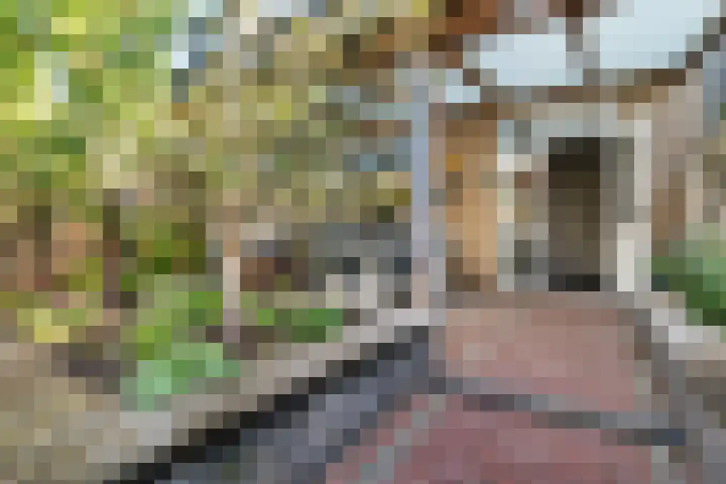 Kievitstraat 70 Ermelo thumbnail 9