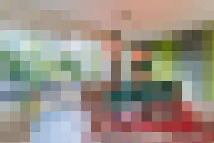 Kievitstraat 79 Geldrop thumbnail 14