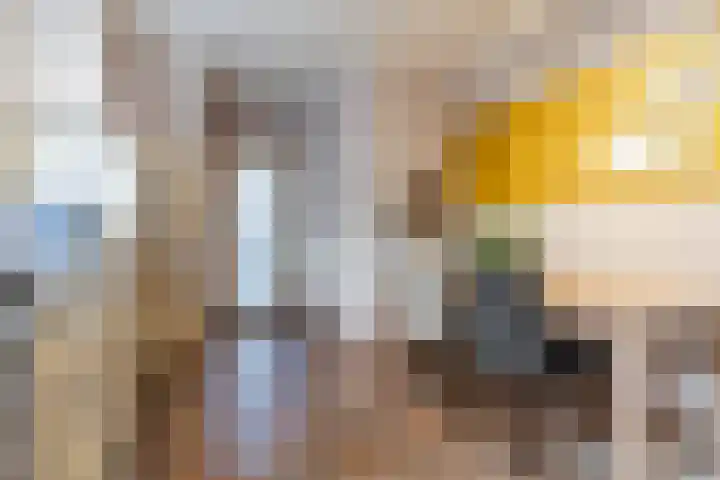 Kievitstraat 79 Geldrop thumbnail 16