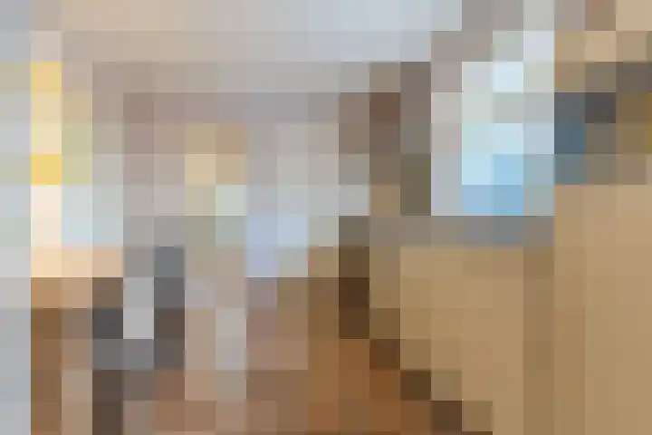 Kievitstraat 79 Geldrop thumbnail 17